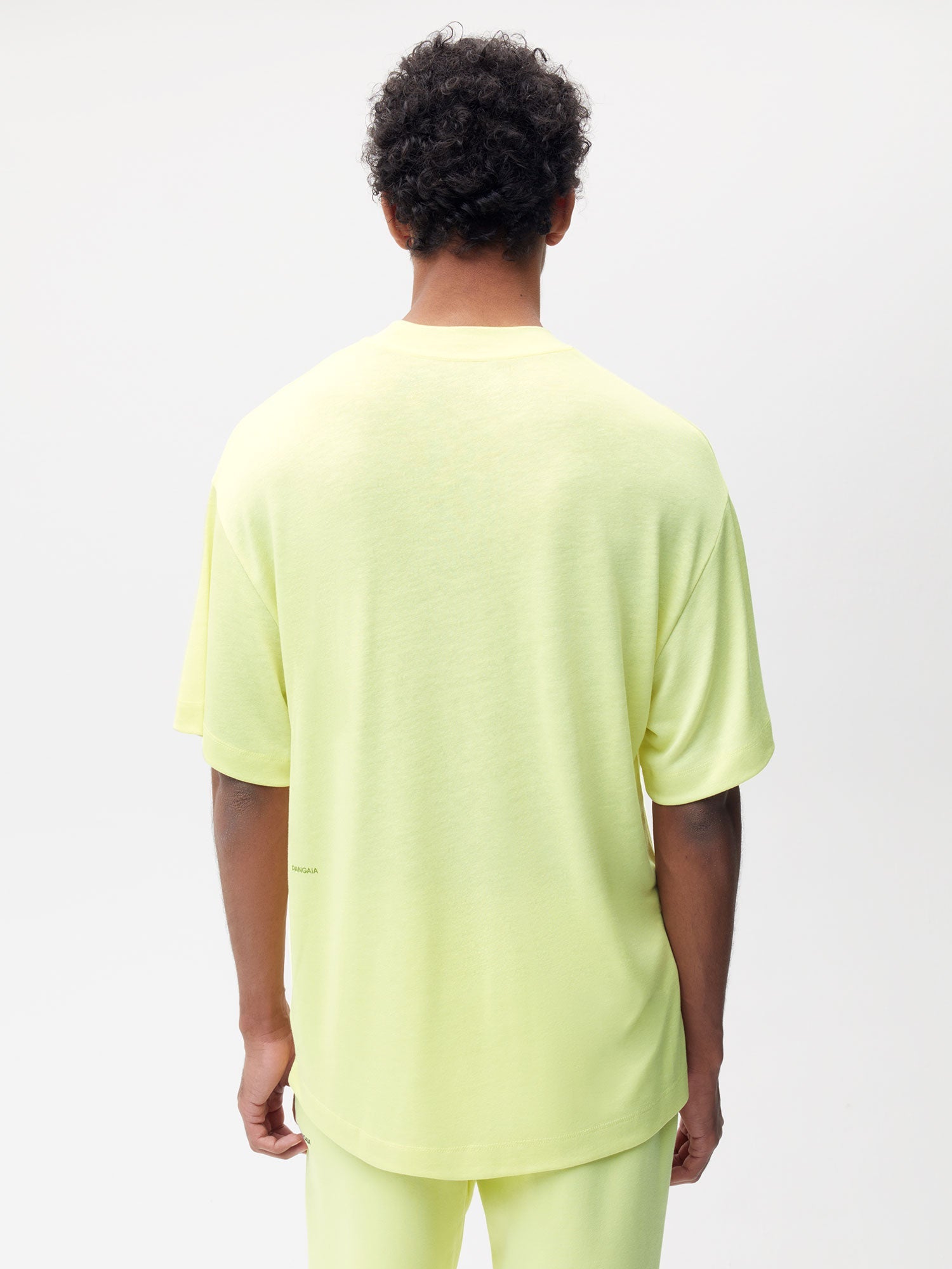 FRUTFIBER-Skater-T-Shirt-Andes-Green-Male-2