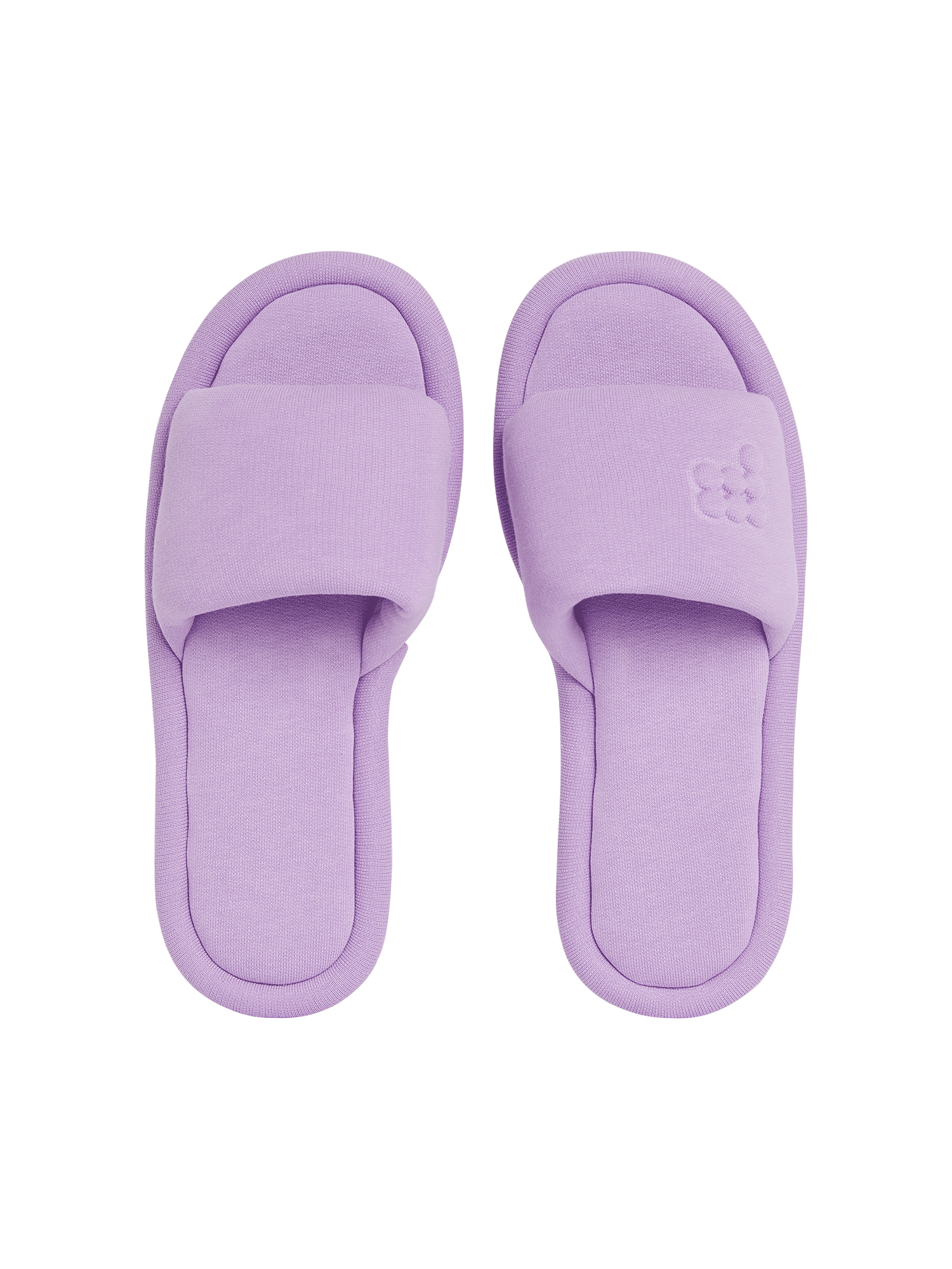 Jersey-Slipper-Orchid-Purple-2