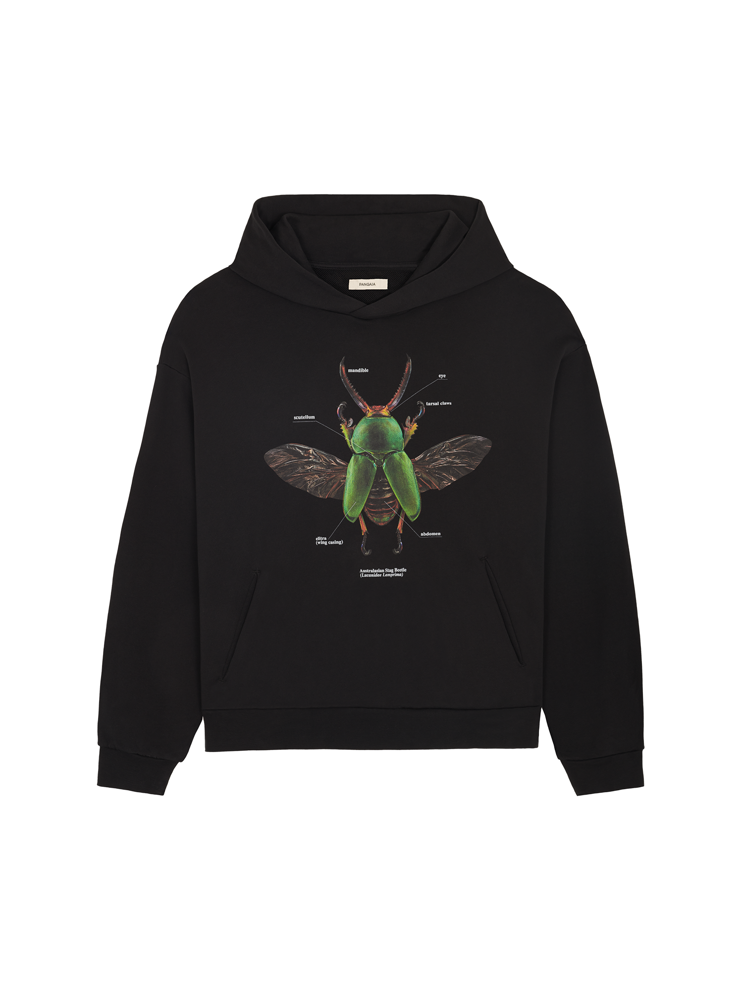 Levon-Biss-Stag-Beetle-Hoodie-Black-packshot-3
